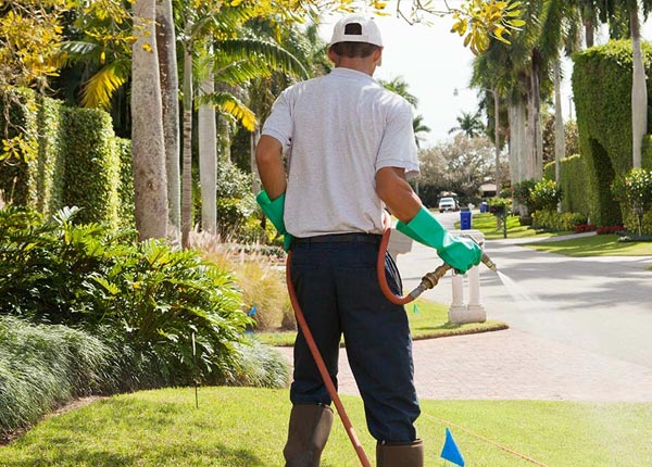 About Moorhead IA Pest Control